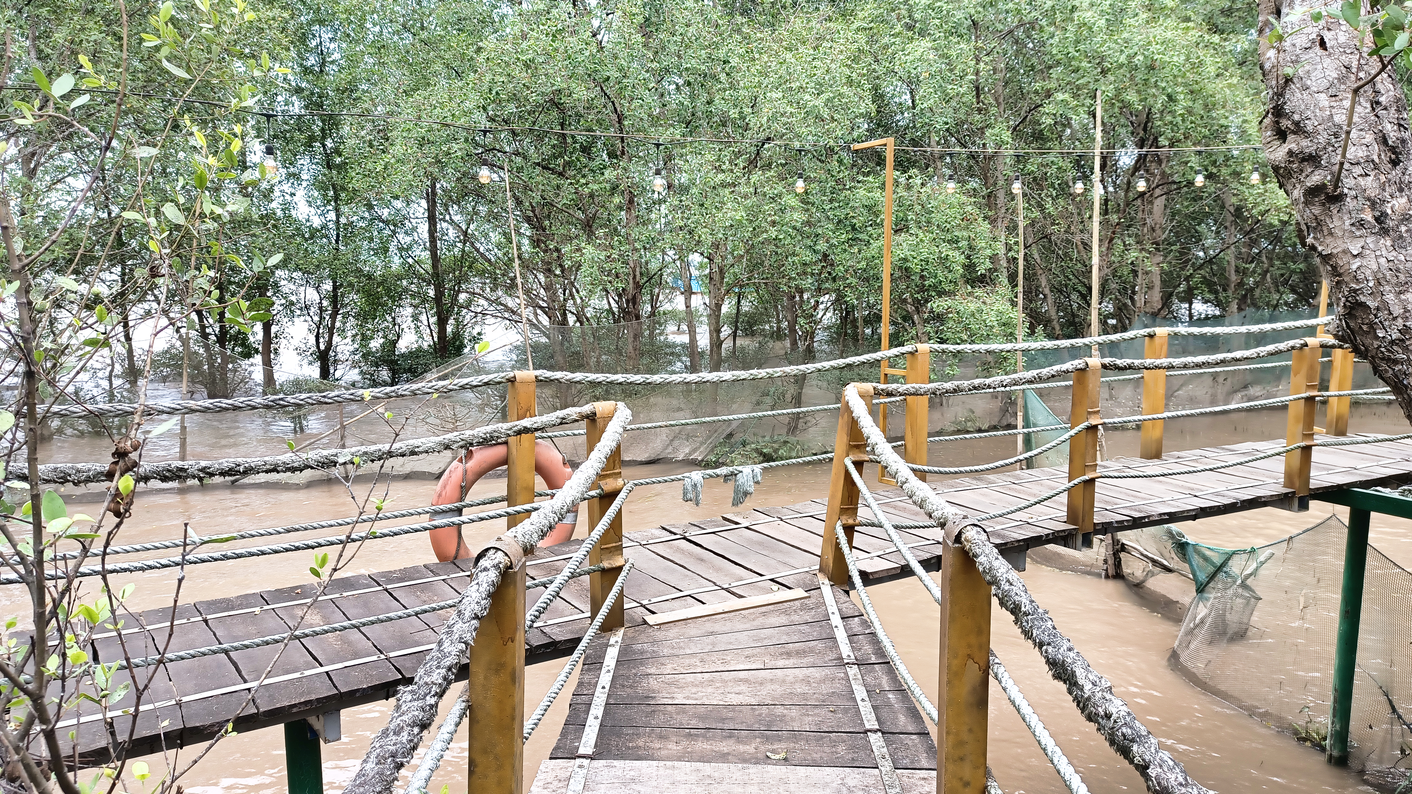 V0173-29-04-2026-105153-92403f52-b6ce-478b-9ea5-55c6dee402f6.jpg